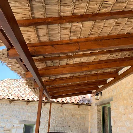 فيلة Pietraviti *